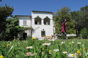 during flowering daisies