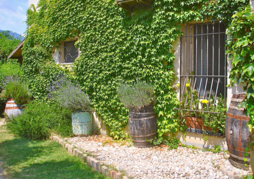 One-Bedroom Residence – 2 Beds (Standard)