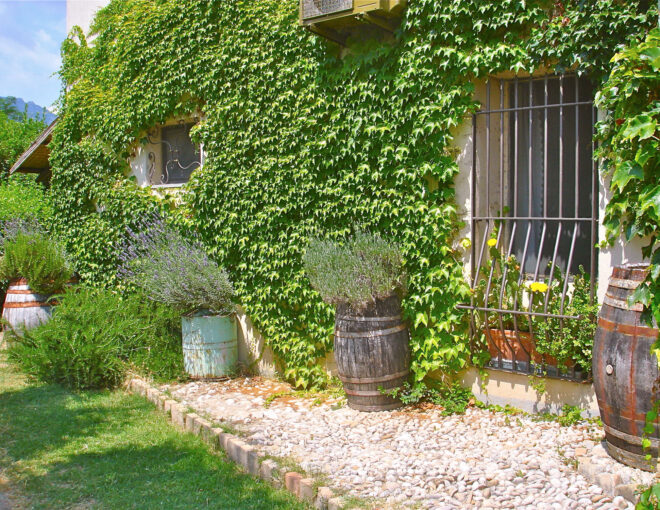 One-Bedroom Residence – 2 Beds (Standard)