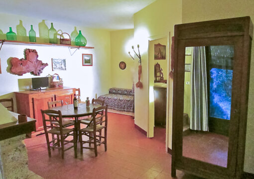 One-Bedroom Residence – 2 Beds (Standard)