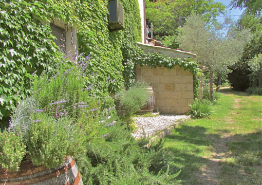 One-Bedroom Residence – 2 Beds (Standard)