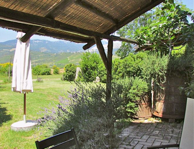 One-Bedroom Residence – 2 Beds (Standard)