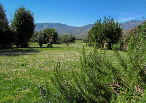 One-Bedroom Residence – 2 Beds (Standard)