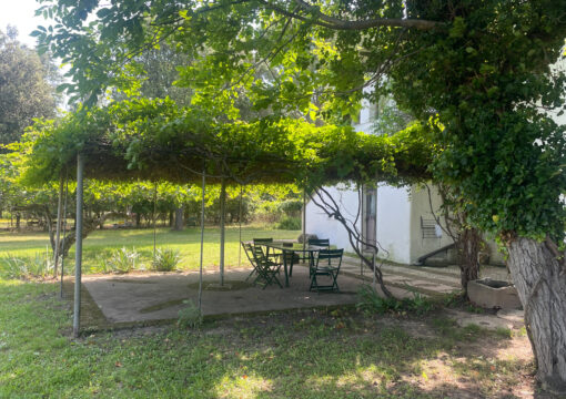 Suite Especial Residencia - 1 Dormitorio, 4 Camas (Dimora Padronale)