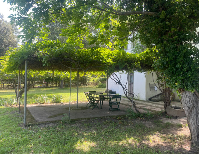 Special Suite Residence – 1 Bedroom, 4 Beds (Dimora Padronale)
