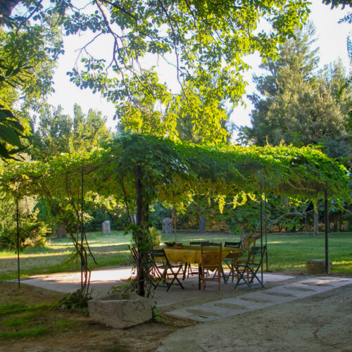 Special Suite Residence – 1 Bedroom, 4 Beds (Dimora Padronale)